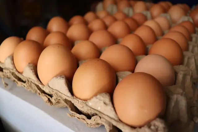 Brown chicken eggs in moulded pulp egg trays