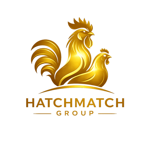 HatchMatch Group