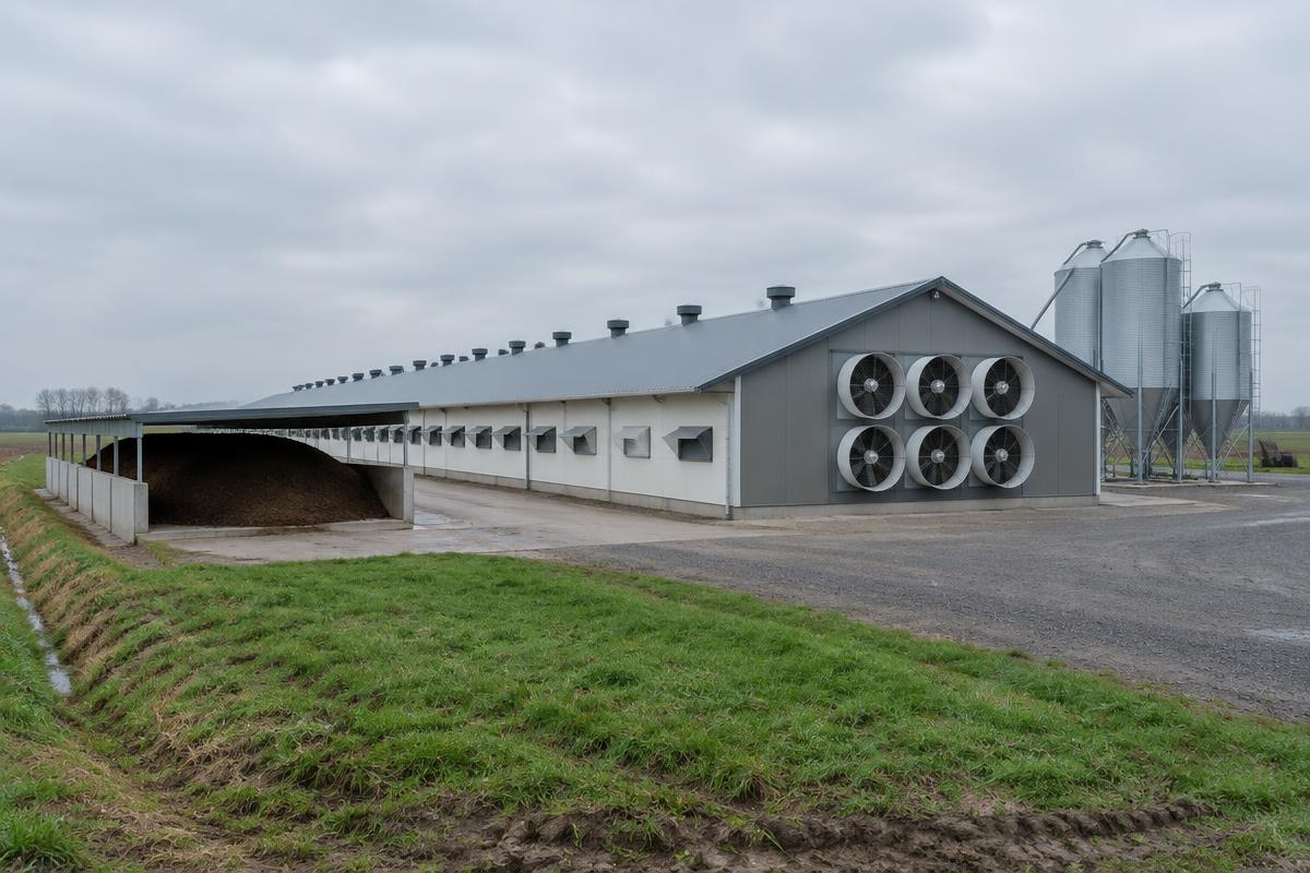 Modern European poultry house with large tunnel ventilation fans on the gable end, a covered manure storage bay and feed silos; AI-generated illustration