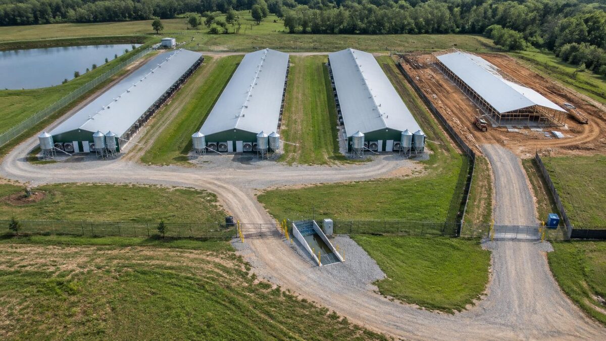 Aerial view of three operating poultry houses with a fourth under construction behind a separate fenced access road and wheel wash