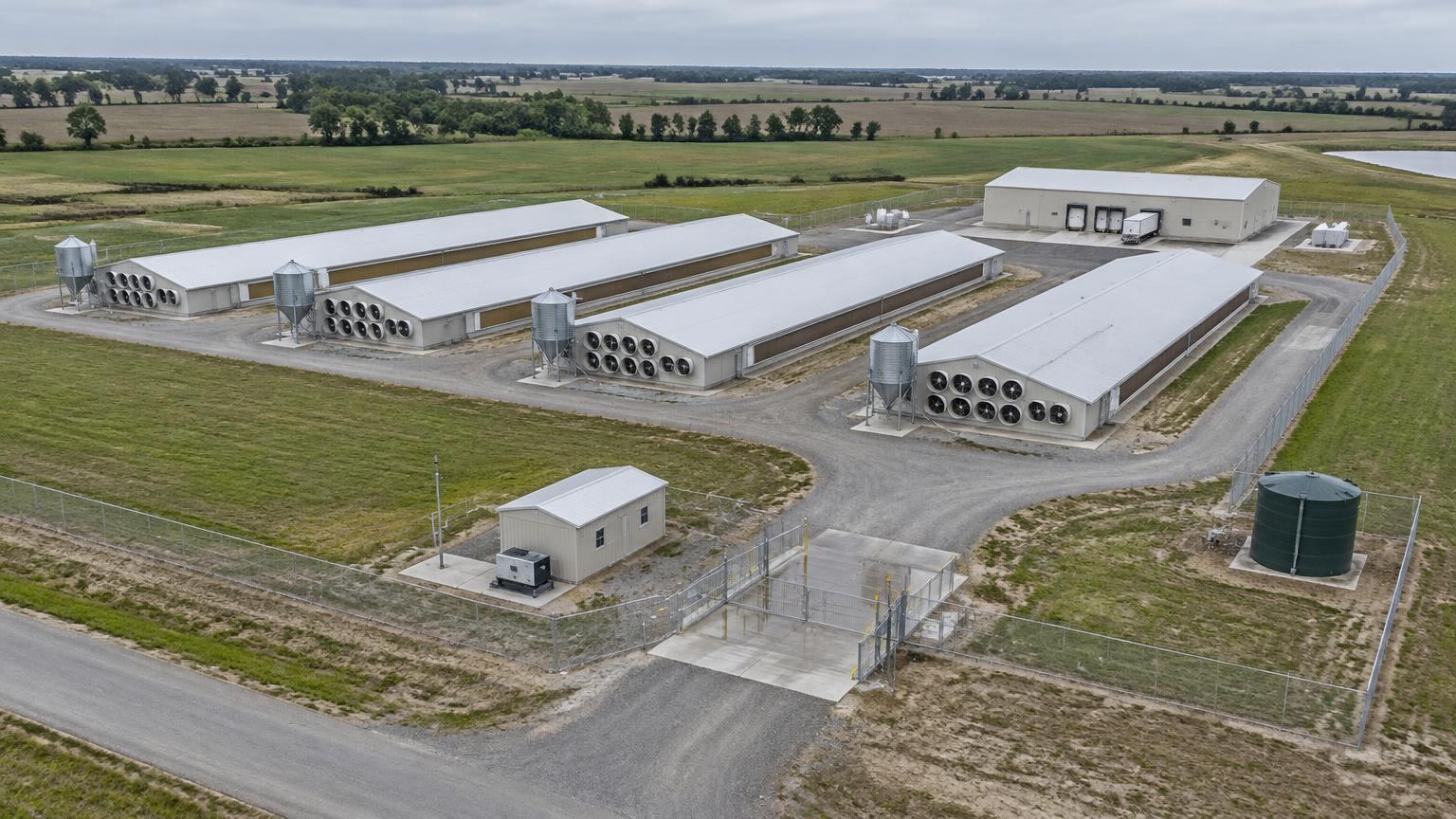 Aerial view of a commercial poultry site with four tunnel-ventilated houses, feed silos, a separate hatchery building, a generator house, a water tank and a fenced entrance with a vehicle wash bay