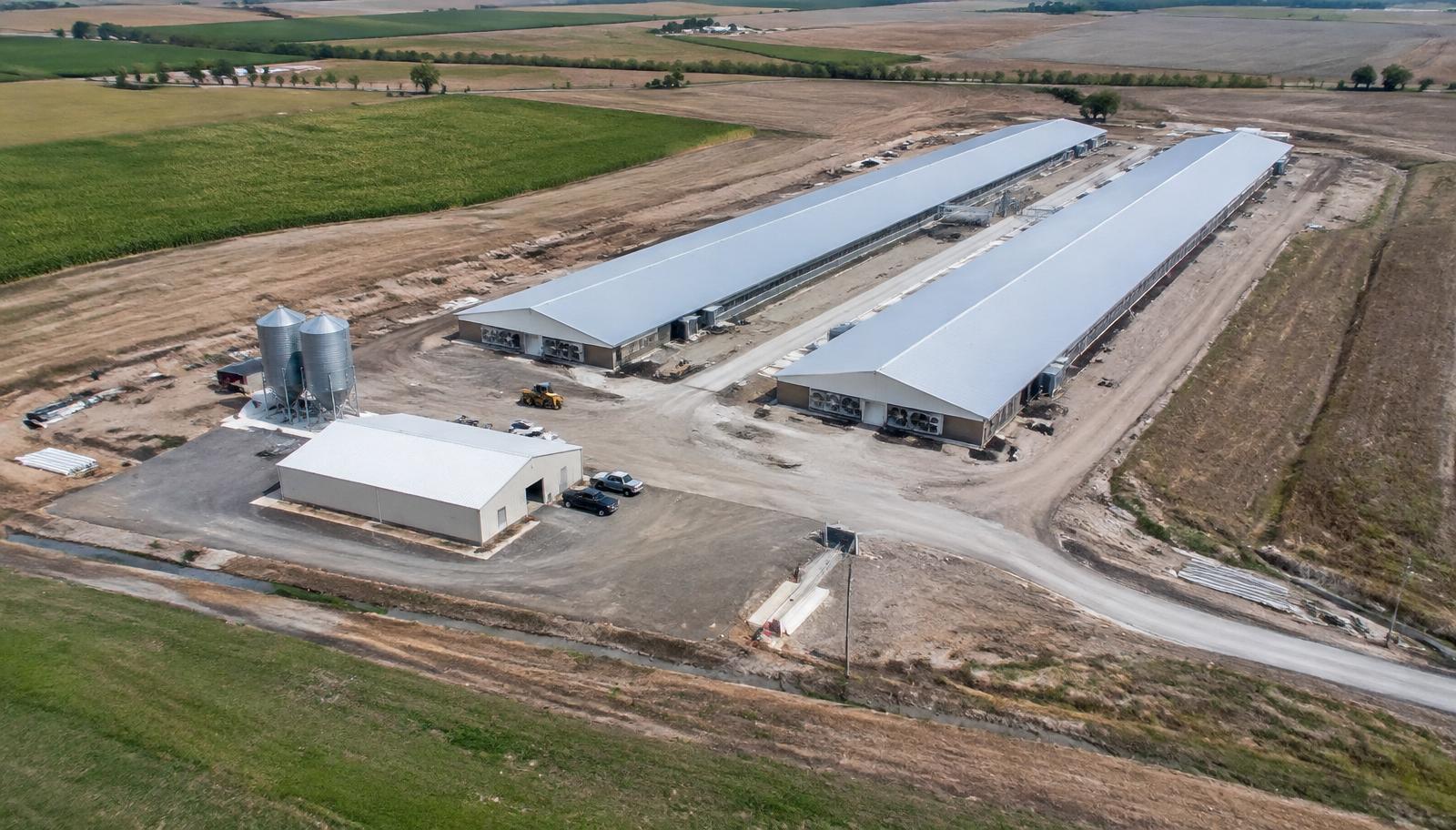 Aerial view of a layer farm under construction with two long houses, egg store and feed silos