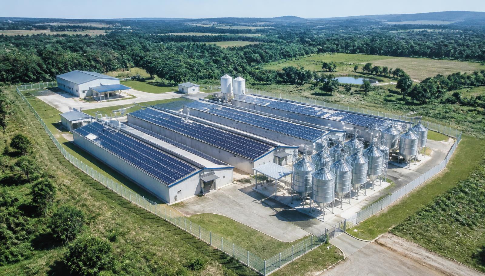 Aerial view of an integrated poultry complex with rooftop solar arrays, feed silos and biosecurity fencing
