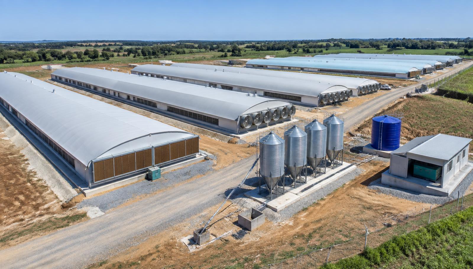 Poultry house layout and equipment planning for a commercial project
